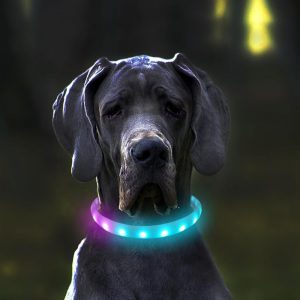 Rechargeable LED Silicone Dog Collar