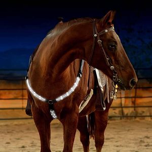 LED Horse Harness